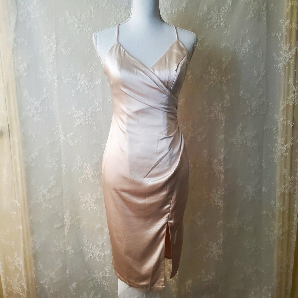 ANGEL BIBA Stunning Champagne Dress!